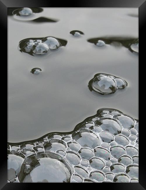 bubbles Framed Print by Heather Newton