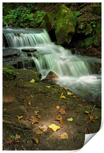 Glowing Beauty at Lumsdale                         Print by Darren Galpin