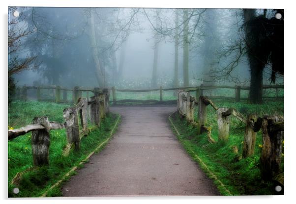 Apley Woods Acrylic by simon alun hark