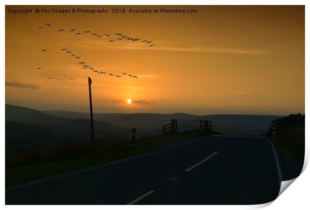 Geese over the Forest of Bowland Print by Derrick Fox Lomax
