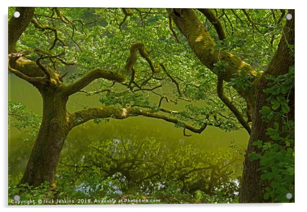Oak Tree in South Wales in late Spring Acrylic by Nick Jenkins