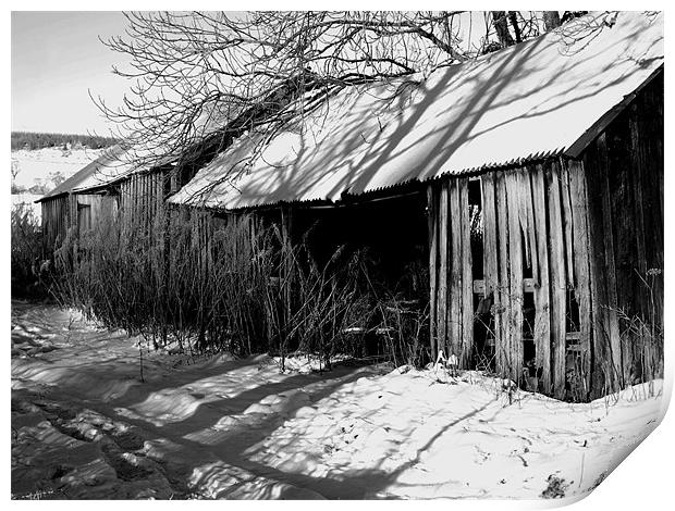 Winter Sheds Print by james sanderson