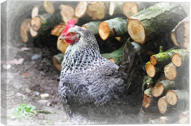Chicken by the Woodpile Canvas Print by Rosie Spooner