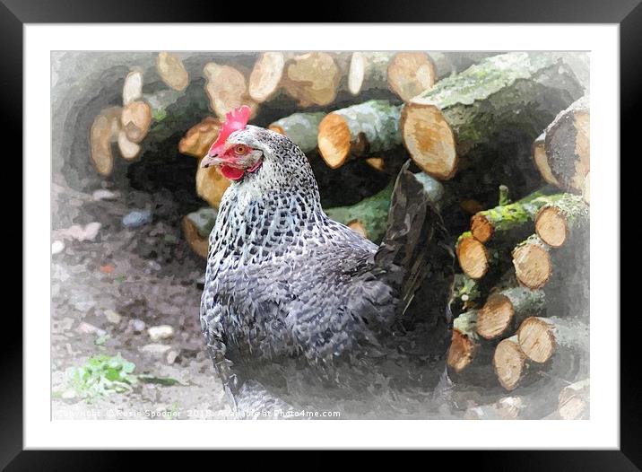 Chicken by the Woodpile Framed Mounted Print by Rosie Spooner