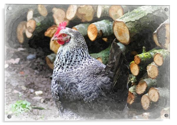 Chicken by the Woodpile Acrylic by Rosie Spooner