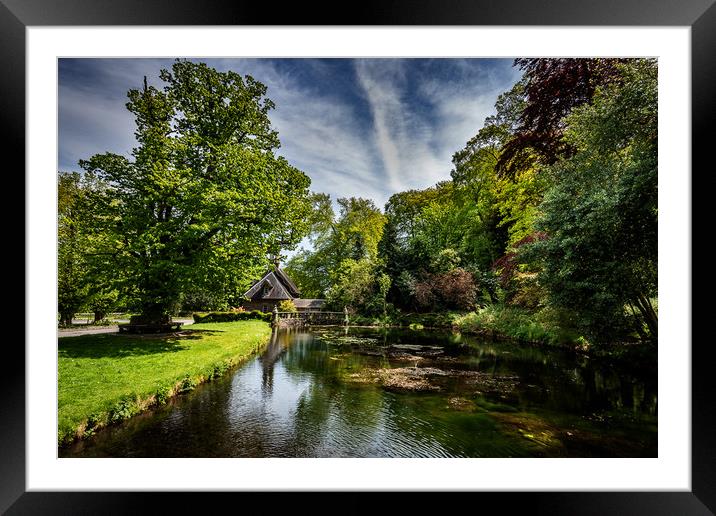 Duck Pond Framed Mounted Print by Alan Sinclair