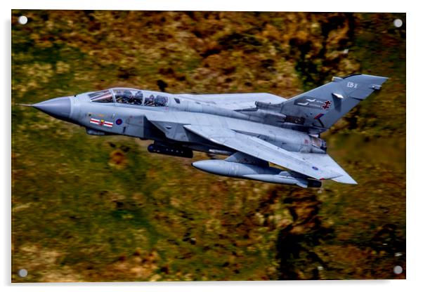 41 Squadron TES Tornado GR4 EB X Acrylic by Oxon Images