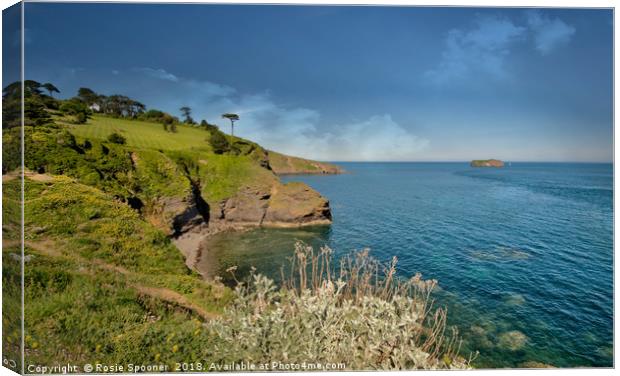 Orestone Rock view from Thatcher Point Torquay Canvas Print by Rosie Spooner