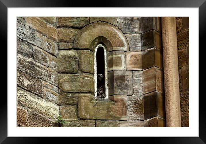 Gothic Window  Jackdaw Framed Mounted Print by Ste Jones