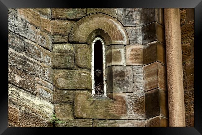Gothic Window  Jackdaw Framed Print by Ste Jones