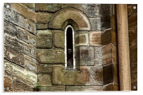 Gothic Window  Jackdaw Acrylic by Ste Jones