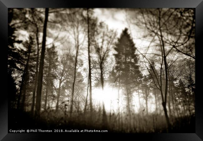 Winton Woods Sepia version. Framed Print by Phill Thornton