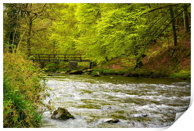 The East Lyn at Ash Bridge Print by graham young