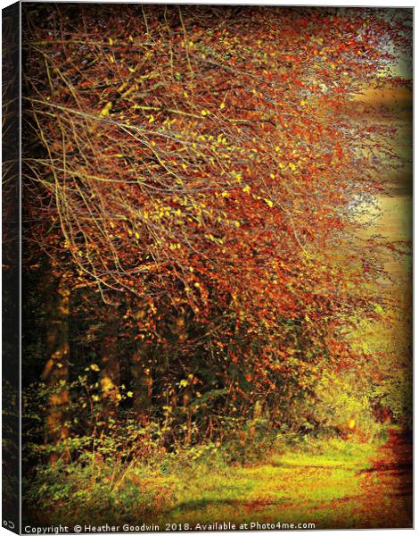 Autumnal Lanes Canvas Print by Heather Goodwin