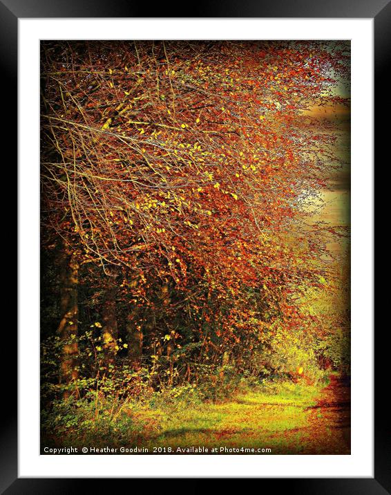 Autumnal Lanes Framed Mounted Print by Heather Goodwin