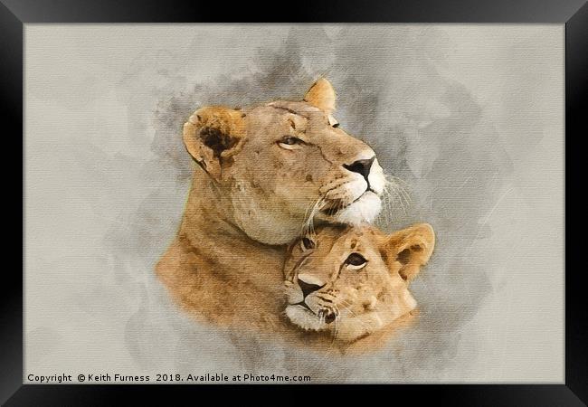 Lioness and Her Cub Framed Print by Keith Furness