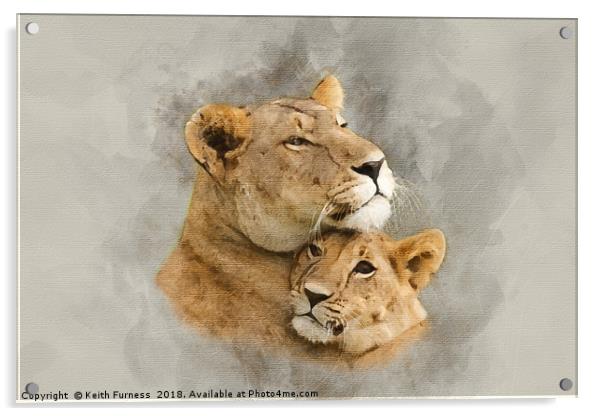 Lioness and Her Cub Acrylic by Keith Furness
