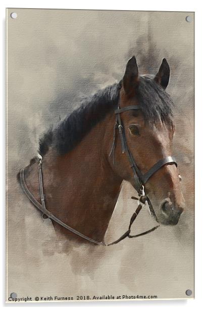Harvey the Horse Acrylic by Keith Furness