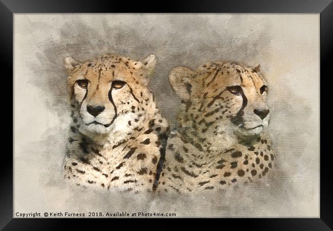 Loving Couple Framed Print by Keith Furness