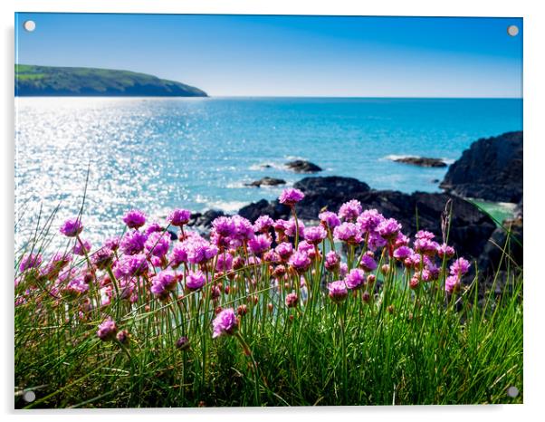 Sea Pinks, Cardigan Bay, Pembrokeshire, Wales, UK Acrylic by Mark Llewellyn