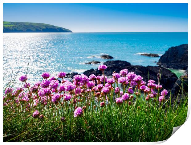 Sea Pinks, Cardigan Bay, Pembrokeshire, Wales, UK Print by Mark Llewellyn