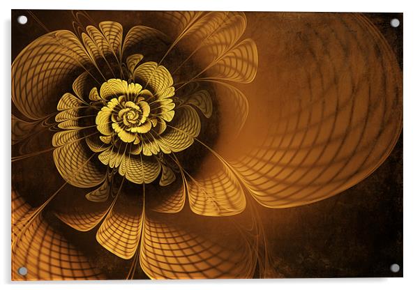 Gilded Flower Acrylic by John Edwards