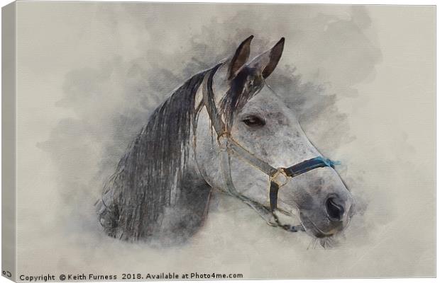 Gray Horse Canvas Print by Keith Furness