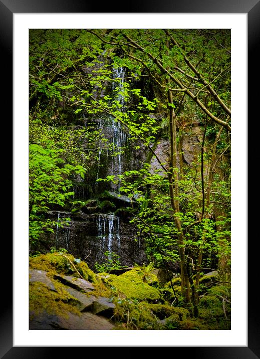 Waterfall at Barton Wood Framed Mounted Print by graham young