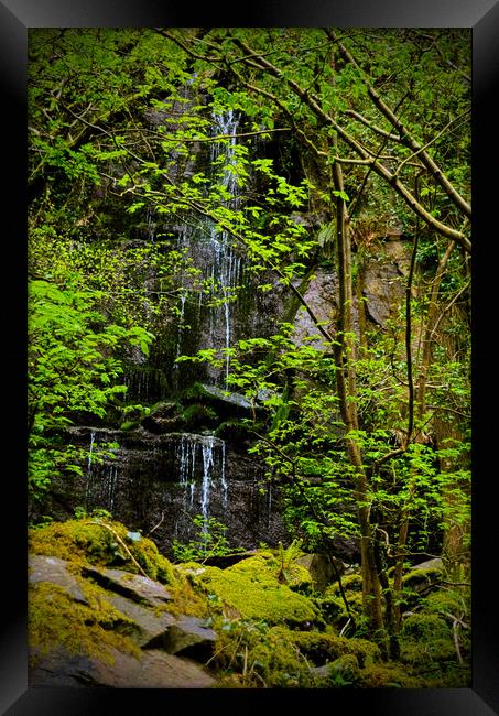 Waterfall at Barton Wood Framed Print by graham young
