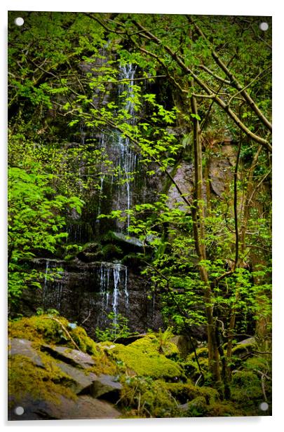 Waterfall at Barton Wood Acrylic by graham young