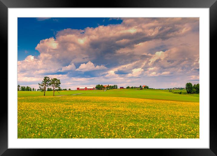 Spring in Sweden  Framed Mounted Print by Hamperium Photography