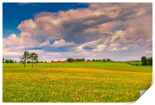 Spring in Sweden  Print by Hamperium Photography
