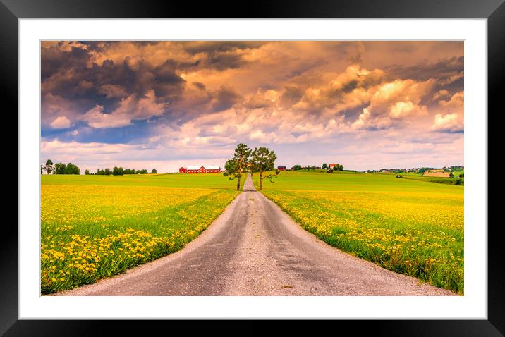 Road into spring Framed Mounted Print by Hamperium Photography