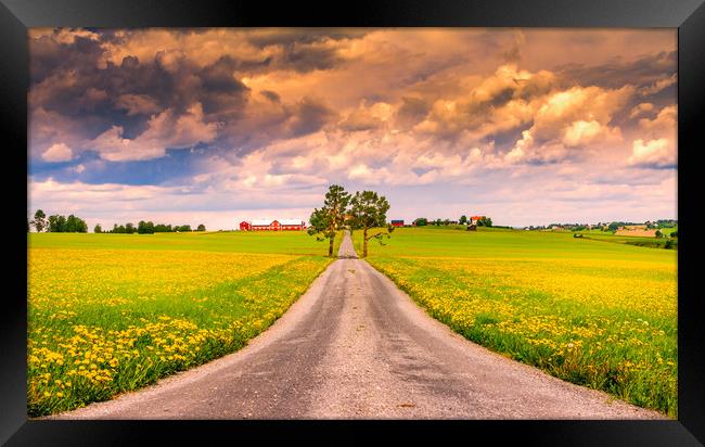 Road into spring Framed Print by Hamperium Photography