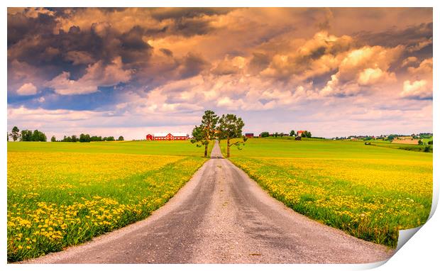 Road into spring Print by Hamperium Photography