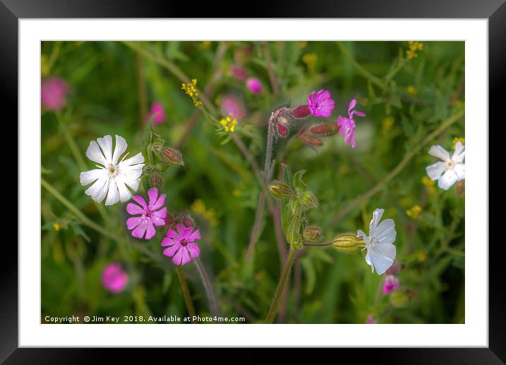Wildflowers by the Roadside  (2) Framed Mounted Print by Jim Key