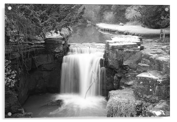 jesmond dene Acrylic by john appleby