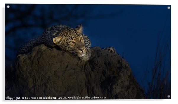 Leopard on Anthill at Sunset Acrylic by Lawrence Bredenkamp