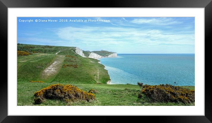 The Seven Sisters chalk Cliffs  Framed Mounted Print by Diana Mower