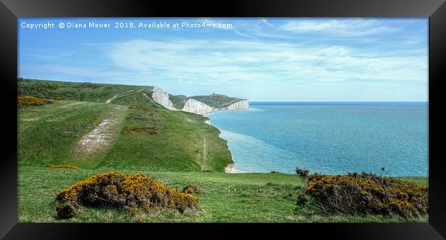 The Seven Sisters chalk Cliffs  Framed Print by Diana Mower