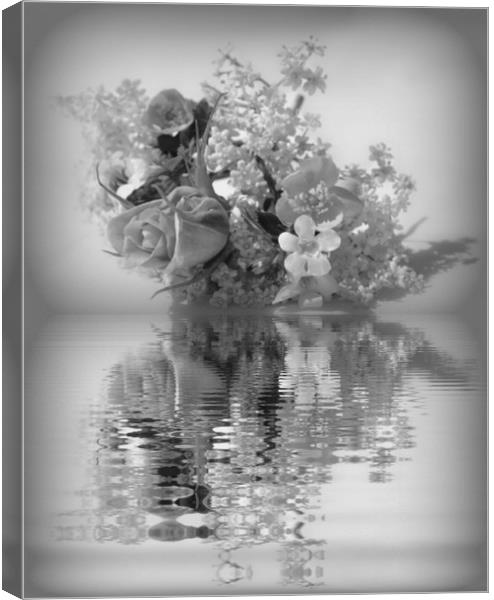 pretty reflections Canvas Print by sue davies
