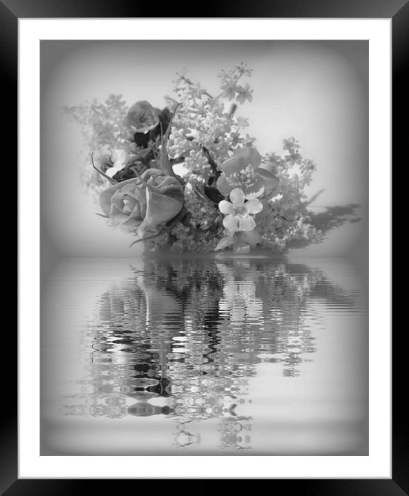 pretty reflections Framed Mounted Print by sue davies
