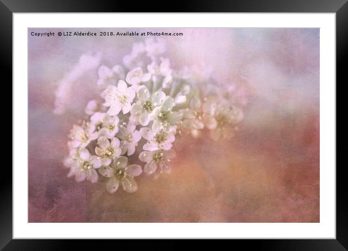 The May Framed Mounted Print by LIZ Alderdice