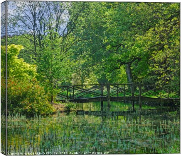 "Green reflections at the lake" Canvas Print by ROS RIDLEY