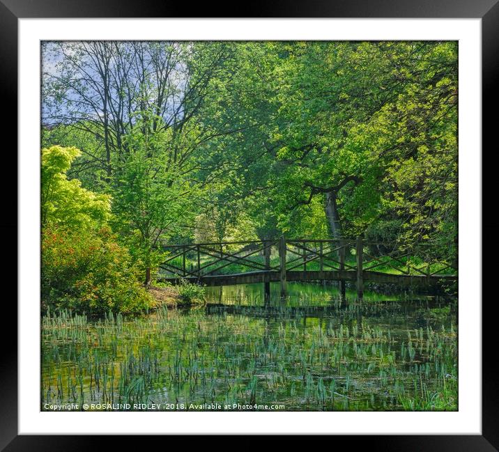 "Green reflections at the lake" Framed Mounted Print by ROS RIDLEY