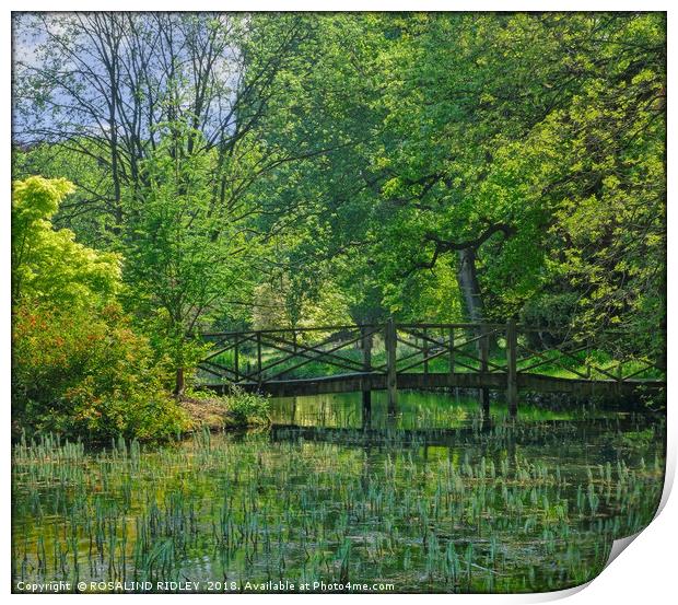 "Green reflections at the lake" Print by ROS RIDLEY