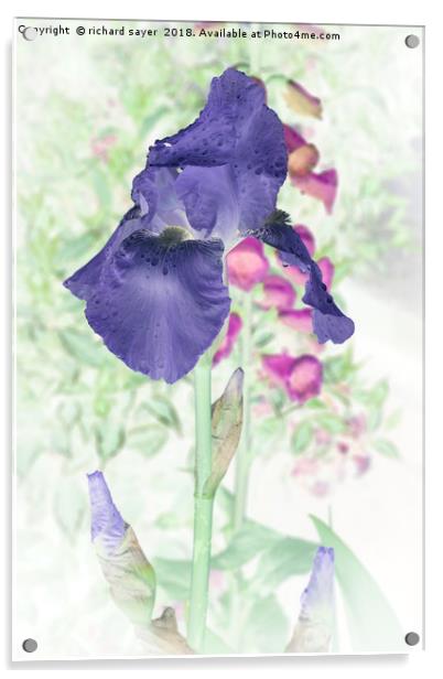 Summer Iris Acrylic by richard sayer