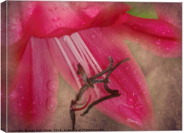 Dew Kissed Lily Canvas Print by Judy Hall-Folde