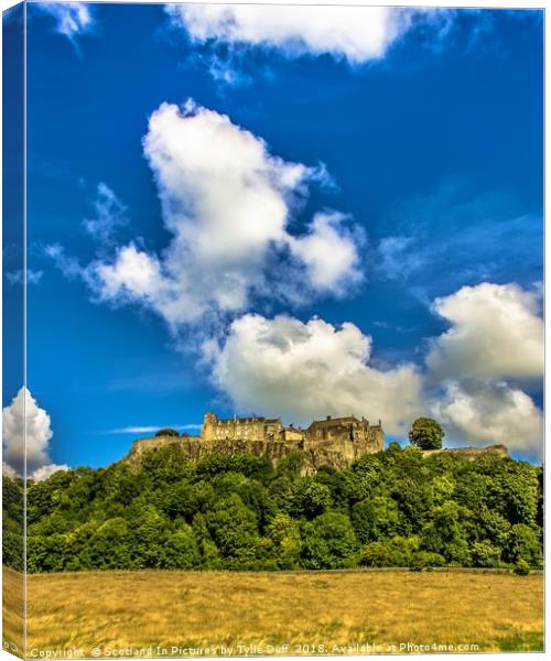 Stirling Castle In High Summer Canvas Print by Tylie Duff Photo Art
