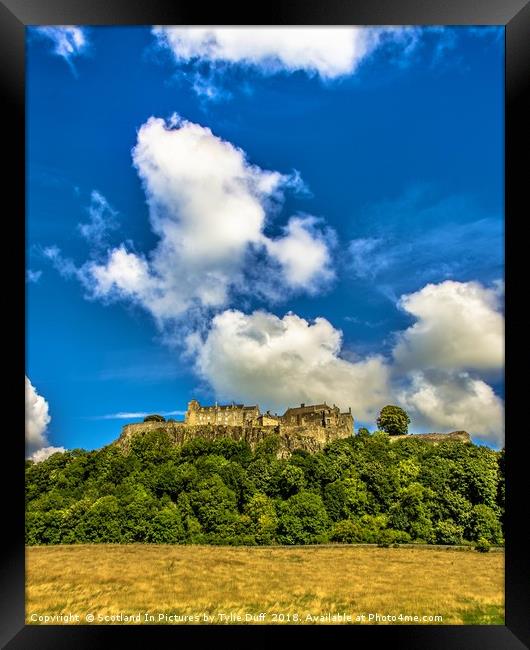 Stirling Castle In High Summer Framed Print by Tylie Duff Photo Art